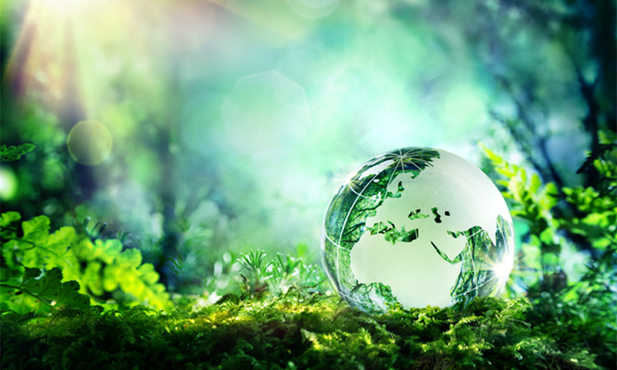 Green development boosted by efforts from Qilu Bank